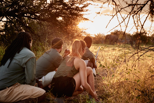 Victoria falls walking safari