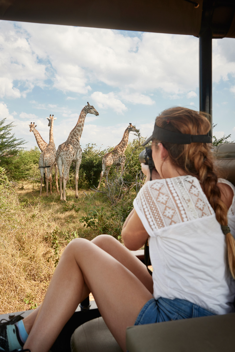 African safari